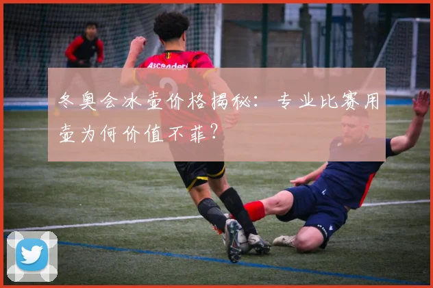 冬奥会冰壶价格揭秘:专业比赛用壶为何价值不菲?